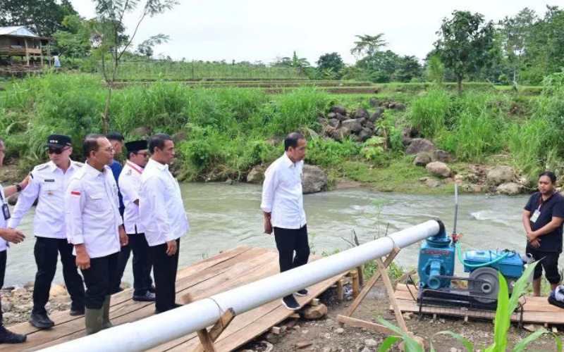 Presiden Joko Widodo meninjau pompanisasi di Desa Layoa, Bantaeng, Sulawesi Selatan, Jumat (5/7/2024).